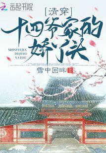 清穿十四爷家的娇丫头